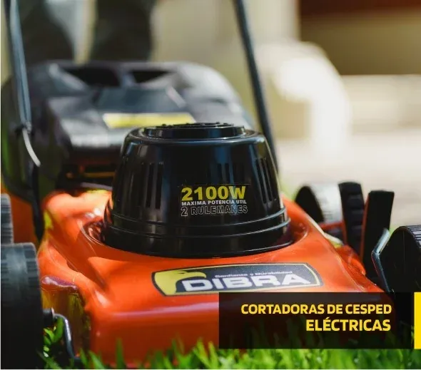 Electricas.webp