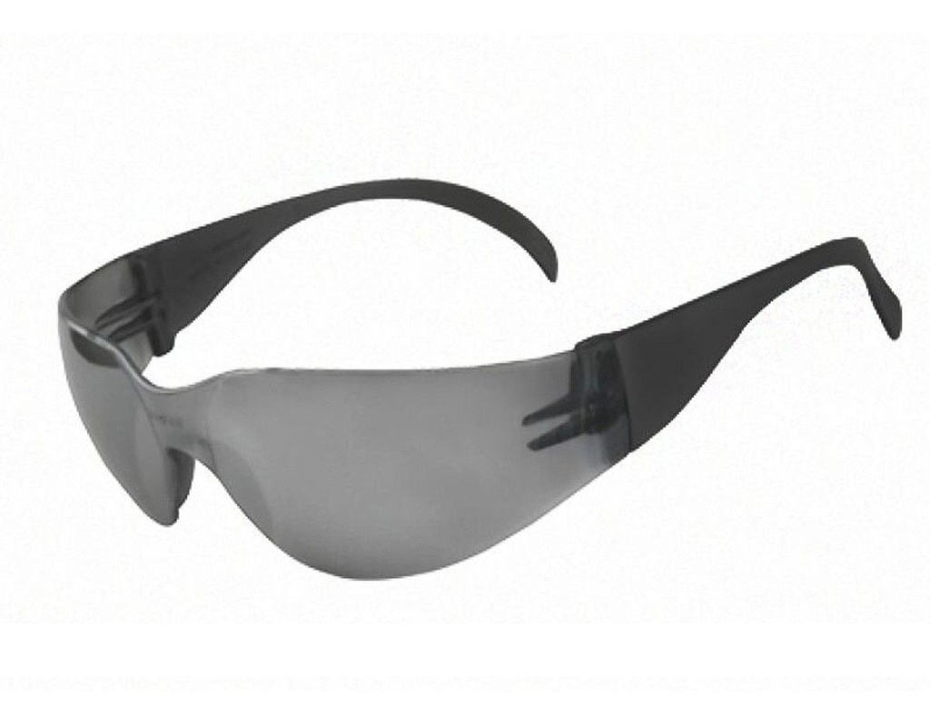 Anteojo Libus Ecoline Gris H/C 