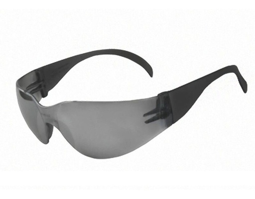 [900555] Anteojo Libus Ecoline Gris H/C 